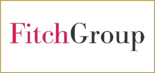 Fitch Group logo