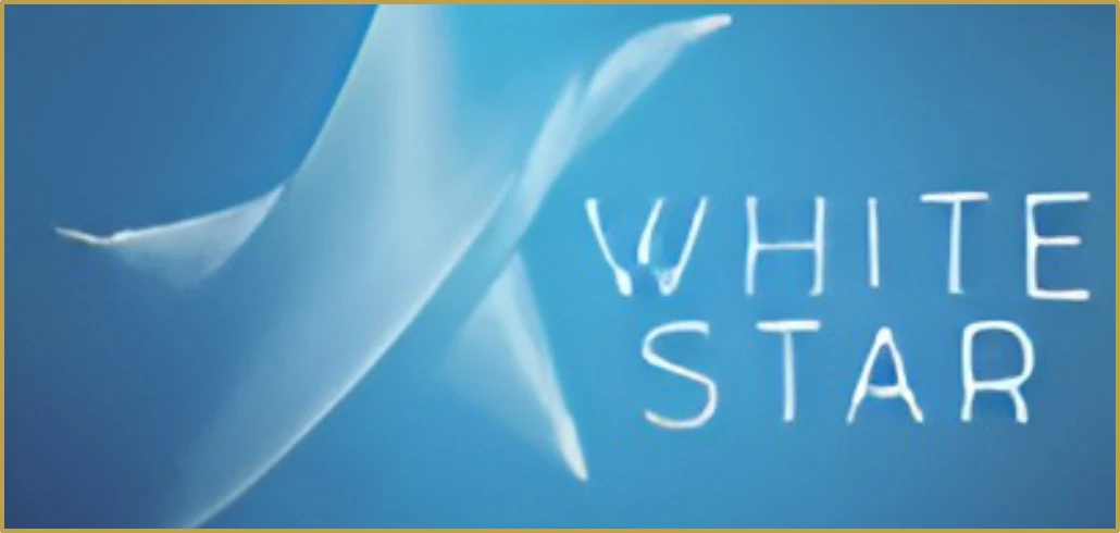 White Star Real Estate Broker logo